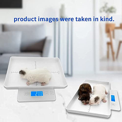 Digital Pet Scale for Small Animal, Whelping Scale,Mini Precision Gram Weight Balance Scale, High Precision 1g, Suitable for Newborn Pets - color: White 1g