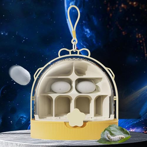 Silkworm Transport Container Clear Breathable Silkworm Observation Box | Reptiles Habitat for Indoor Raising Science Projects Outdoor Activities Teens Camping Backyard