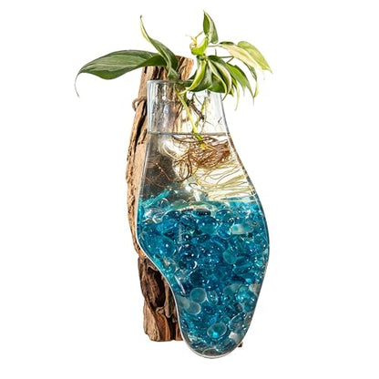 Cape Craftsmen Wall Mounted 12" Molten Glass Hanging Terrarium Kit on Natural Driftwood, Indoor Wall Planter Vase on Wood, Propagation Station for Hydroponics Plants, Succulent Pot - size: Wall Mounted