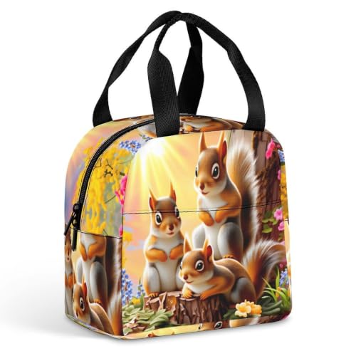 Sunny Garden Squirrel Lunch Bag for Women Men | Insulated Lunch Box Leakproof Food Meal Containers Reusable Foldable 6L Capacity Lunch Tote Bags for Work Picnic Travel - color: style-19