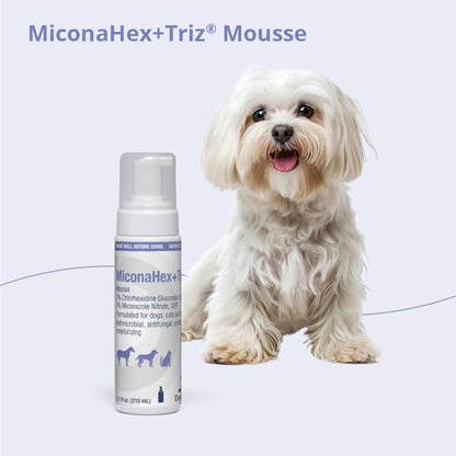 MiconaHex+Triz Mousse, 7.1 oz | Antibiofilm, Moisturizing; Packaging May Vary