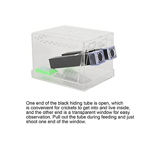 Cricket Keeper Acrylic Cricket Pen with Hiding Tubes Transparent Design Convenient for Cricket(L)