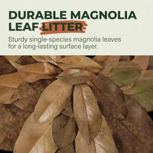 21 Leaves Magnolia Leaves | Bioactive Terrarium Substrate & Supply | Ships Fast from Texas