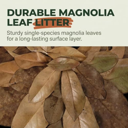 21 Leaves Magnolia Leaves | Bioactive Terrarium Substrate & Supply | Ships Fast from Texas