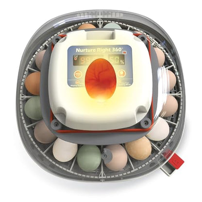 Harris Farms Nurture Right Egg Incubator with Auto Turner, Holds 22 Eggs