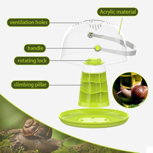 Snail Habitat Terrarium, Round Snail Enclosure with Feeding Design | Large Viewing Area, 360° Observation, Removable Base, Snail Habitat, Spider Enclosure & Small Reptile Habitat