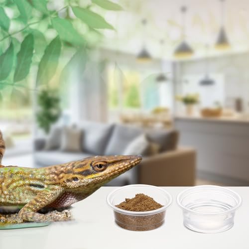 1000 Pcs 0.5 oz Gecko Feeding Cups Small Gecko Food and Water Cups Reptile Feeding Bowls Plastic Bearded Dragon Food Bowl for Lizard Small Pet Ledge Accessories (Transparent) - color: Transparent