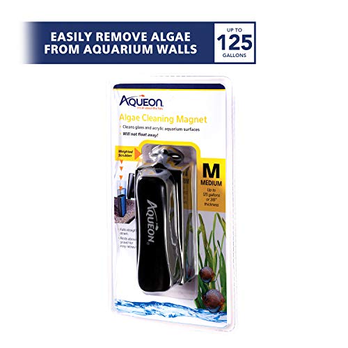 Aqueon Aquarium Algae Scraper, Fish Tank Cleaning Magnets for Glass/Acrylic, Medium (Pack of 3) - size: Medium (Pack of 3)
