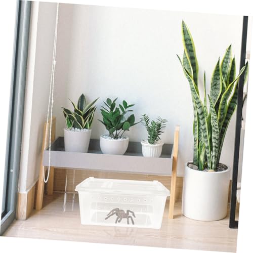 Abaodam 1Pc Transparent Reptile Feeding Box with Double Doors Escape Design for Spiders Geckos Turtles and Frogs Durable Material with Ventilation for Optimal
