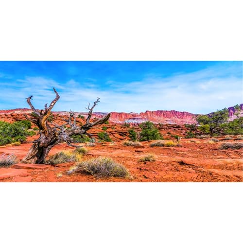 36x18 in Reptile Habitat Backdrop Blue Sky Oasis Desert Terrarium Backdrop | AWERT Orange Desert Durable Polyester Background - size: 36x18in/90x45cm