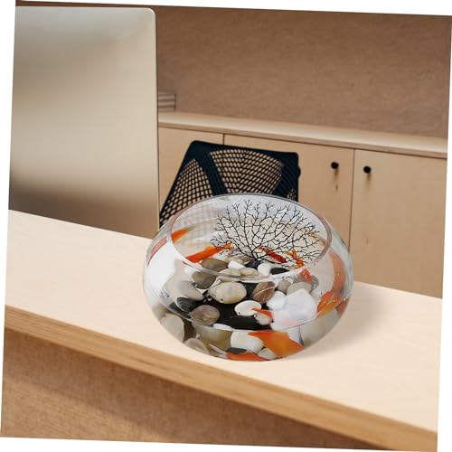 UKCOCO Glass Fish Bowl Round Terrarium for Desktop Multi Use Aquarium and Hydroponic Plant Pot Home Office Decoration for Goldfish Water Plants and Small Aquatic Ecosystems