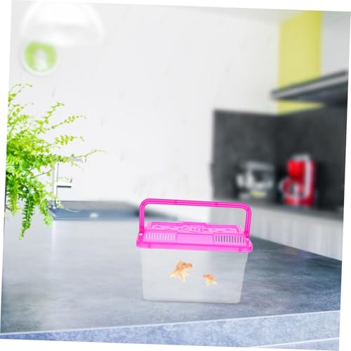 4pcs Mini Turtle Feeding Box Plastic Reptile Container for Fish and Small Pets Versatile Breeding Aquarium with Stable Base and Vibrant Lids