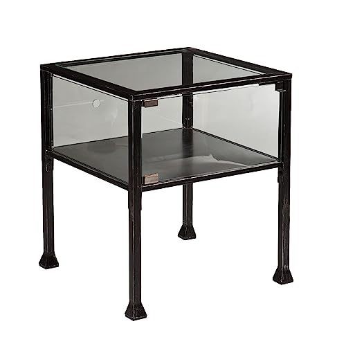 SEI Furniture - Terrarium Display End Table - Transitional Design, Black Finish - Ideal for Living Room, Bedroom (CK8862) - style: End Table
