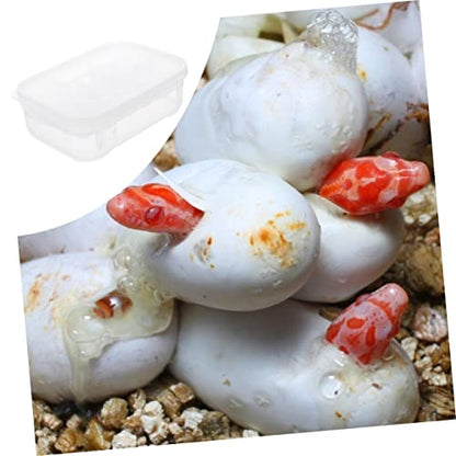 Kisangel Reptile Tank Accessory Hatching Incubation Box Breeding Box Reptile Substrate Tray