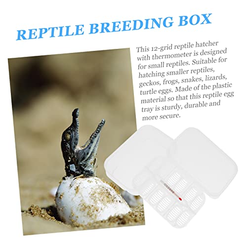 Reptile Hatching Box with Compartments Transparent Design for Easy Visibility Lightweight Incubation Tray for Lizards Snakes and Eggs Includes Temperature Gauge