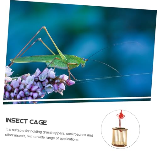 Songbird Cage Insect House Insect Cage Insect Container Insect Storage Cage Cricket Container Cricket Bamboo Cage Outdoor Grasshoppers Cage Cricket Keeper Cricket Holder