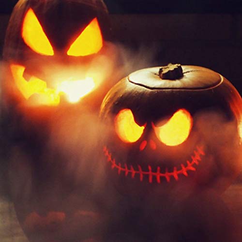 Mist Maker Fogger with Splash Guard for Halloween