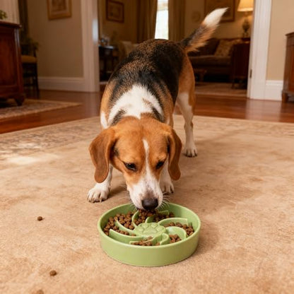 Ceramic Slow Feeder Dog Bowl, 3 Cup Dog Food or 25oz Water, Slow Eating Bowl for Middle Breed, Maze Puzzle Feeder for Fast Eaters, Anti-Choking Stop Bloat, Non-Slip BPA Free (Green) - color: Green