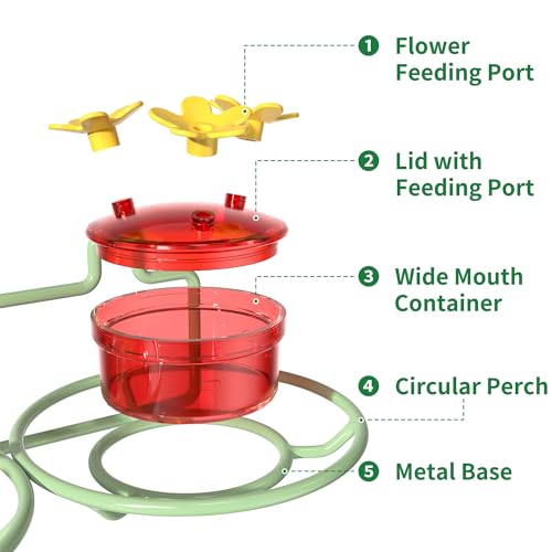 Dreamdrawer 2 Pack Window Hummingbird Feeder, Small Hummingbird Feeder for Outdoors with Strong Suction Cup - Metal Base & 6 Feeding Ports, Easy to Clean and Refill, Green - color: 2PC-Green