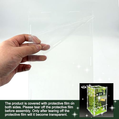 Jumping Spider Enclosure Kit,(Contains All Components) DIY Insects Habitat,Small Reptile Terrarium Glass House Accessories Set,with Temperature and Humidity Detector.5.5“x5.5”x9.5“ (Green)