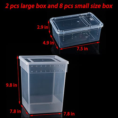 10 Pack Reptile Feeding Box Plastic Transparent Breeding Box for Bearded Dragon Lizard Spider Snake Tree Frog Reptlies (2 Pcs Large Size and 8 Pcs Small Size)