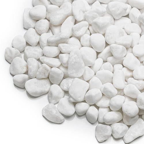 onlyfire 2lbs White Gravel Pebbles, 1/5" Natural Decorative River Rocks | Aquarium Gravel, Crushed Gravel Stone, For Indoor Plants, Vases, Succulents, Outdoor Garden Landscaping and Home Decor - color: White, size: 2 Pounds