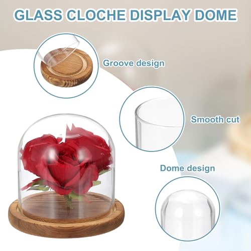 uxcell Glass Cloche Display Dome, 4.7" x 4.7" Glass Dome Display Case, Wood - size: 4.7" x 4.7"