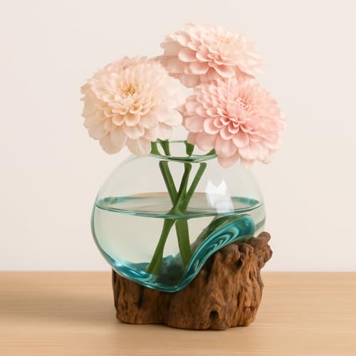 Cape Craftsmen 7" Hand-Blown Blue Tinted Bubble Glass On Natural Teak Driftwood Terrarium Kit | Home Décor Indoor Planter with Stand | Pot for Succulent and Plants - size: Small (With Stand)