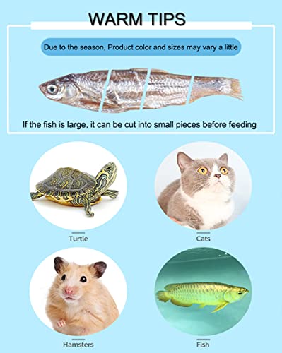 7 OZ Dried River Fish - 100% Natural Food for Turtles, Terrapins, Cats, Reptiles, Large Tropicals,Rodents