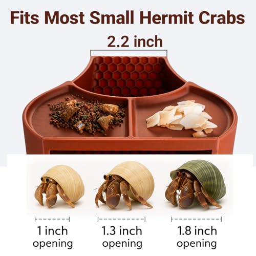 Hermit Crab Habitat Shelter with Dual Food Bowls, 2-in-1 Cave Shelter & Feeding Dish, Textured Climbing Ramp & Viewing Window, Hermit Crab Accessories for Habitat & Tank Setup (Brown) - color: Brown