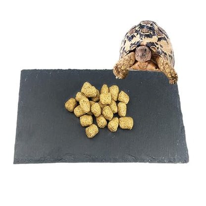 Tfwadmx Reptile Basking Platform, Tortoise Feeding Dish, Natural Rock Reptile Food Bowl Landscape Habitat Decor for Turtle Lizard Bearded Dragon Crested Gecko Snake - size: 1pcs-12"x6"