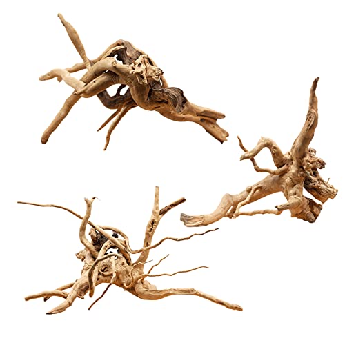 Hamiledyi 6-8in Aquarium Driftwood 3PCS Reptile Spider Wood Assorted Branches Natural Trunk Driftwood Tree Fish Tank Decoration - size: Spiderwood (6-8in 3PCS)