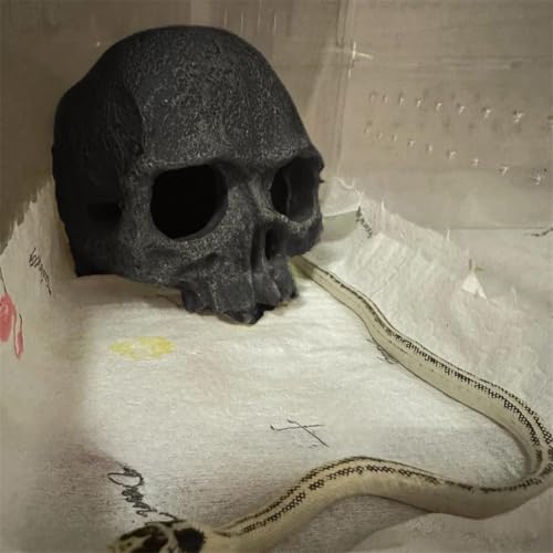 Aquarium Terrarium Skull Decor, Reptile Hide House Shelter Cave for Geckos Spider Lizard Snake, Fish Tank Hide Cave House Hideouts Stones for Small Fish Shrimp Betta Crab Guppy Cichlids (Black)
