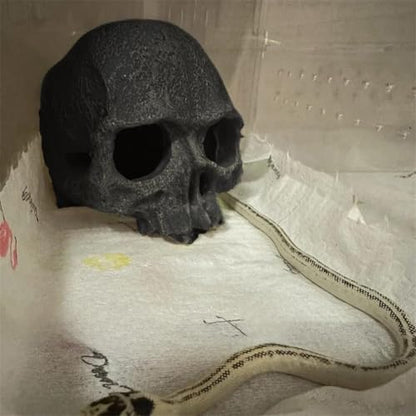 Aquarium Terrarium Skull Decor, Reptile Hide House Shelter Cave for Geckos Spider Lizard Snake, Fish Tank Hide Cave House Hideouts Stones for Small Fish Shrimp Betta Crab Guppy Cichlids (Black)