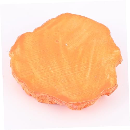 Abaodam Crawling Food Dish for Reptiles Skid Feeding Bowl with Thick Design for Easy Access Lizard Feeder and Water Storage Container for Pets Orange