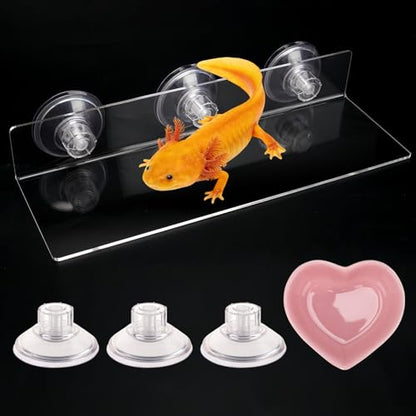 11.8 Inch Axolotl Hammock Ledge with Ceramic Dish and 3 Suction Cups | Secure Wall Mounting Creates a Comfortable Elevated Spot for Resting, Climbing and Feeding in Smooth-Sided Tanks