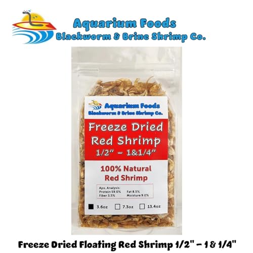 Red Shrimp, 1/2" to 1&1/4" Floating Freeze Dried Red Shrimp for All Tropical Fish, Cichlids, Catfish, Marines, Pond Fish, Turtles, Hamsters, Reptiles…3.6oz Clear Bag - size: 3.6 Ounce (Pack of 1)