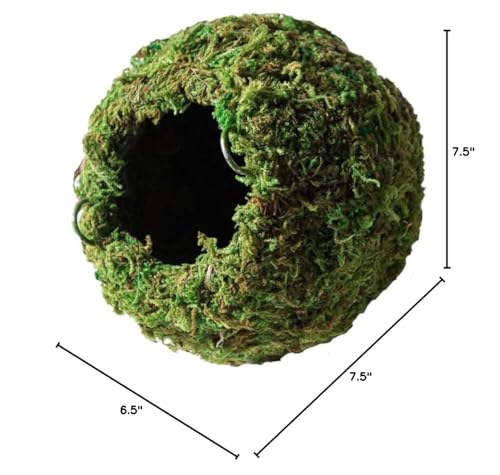Galápagos (05344) Mossy Cave with Holes | Natural Reptile Hide for Bearded Dragons, Geckos, Snakes, Tortoises, Frogs, Hermit Crabs, and Lizards | Terrarium Decor, 7.5in Diameter