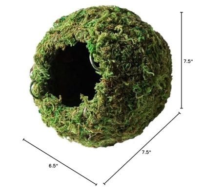 Galápagos (05344) Mossy Cave with Holes | Natural Reptile Hide for Bearded Dragons, Geckos, Snakes, Tortoises, Frogs, Hermit Crabs, and Lizards | Terrarium Decor, 7.5in Diameter