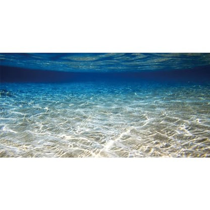 AWERT 36x24 inches Ocean Floor Aquarium Background Underwater Fish Tank Background Undersea Theme Aquarium Background | AWERT Undersea Theme Aquarium Background - size: 36x24in/90x60cm