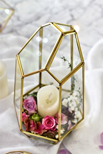 NCYP NO Door Gold Geometric Glass Terrarium for Succulent Air Plants | Irregular Terrarium Planter - Home Fairy Garden Small Decorative Display, Centerpiece - 6.5x5.7x9.8 Inches (No Plants)