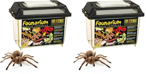 Exo Terra Faunarium Small PT2255 – Plastic Reptile Terrarium and Transport Container for Lizards, Spiders & Amphibians (Pack of 2) - size: Small (Pack of 2)