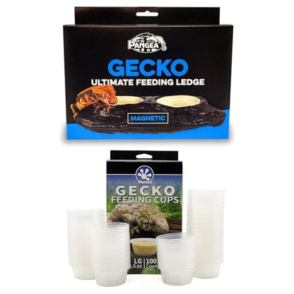 Pangea Reptile Ultimate Gecko Ledge & 100 1.5 oz Feeding Cups Bundle
