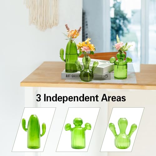 XXXFLOWER Cactus Plant Propagation Station 3 Cactus Vase Terrarium Jars | Desk Plant Cuttings Plant Holders Unique Glass Flower Vase for Hydroponics Plants for Plant Lovers Home Garden Decor - size: 3PCS Cactus Vase