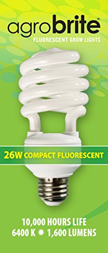 Agrobrite FLC26D 26-Watt Spiral Compact Fluorescent Grow Light Bulb (130W equivalent CFL), 6400K - style: 26W/6400K