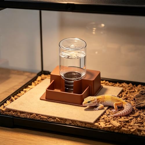 Bearded Dragon Water Bowl, Self Dispensing Fountain for Terrarium with Constant Supply, Reservoir Basin Unit, Home Garden Yard Outdoor Habitat Decor for Chameleon Iguana Frog Medium - size: Medium