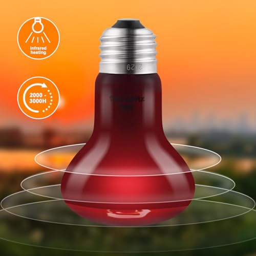 2 Pack 75W Reptile Heat Lamp Reptile Heat Bulbs | UVA Basking and Infrared Light Bulb Combo, Basking Light for Bearded Dragon, Turtles, Snake and Lizard - style: 75W Day & Night Heat Lamp