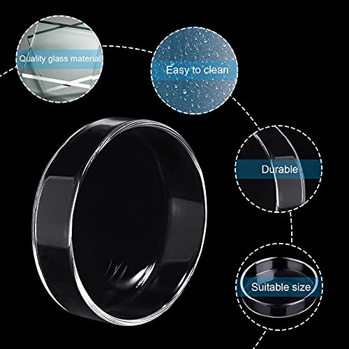 WEAVERBIRD 60mm Aquarium Shrimp Feeder Dish Glass Fish Tank Feeding Bowls Round Clear Dishes Tray - size: 60MM
