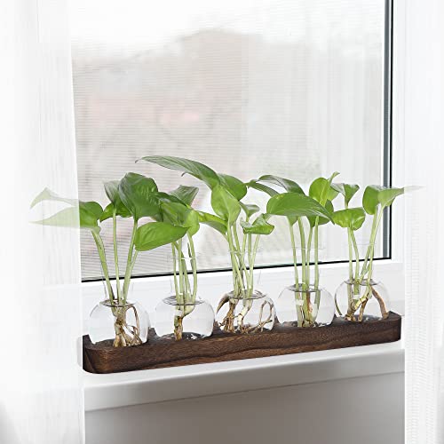 YIBOT Propagation Vases for Plants Terrarium with Wooden Tray,5 Glass Vases | Tabletop Plant Terrarium for Propagating Hydroponic, Retro Glass Planter Flower Vase Home Kitchen Office Decor Gifts - size: 5 Vase-T