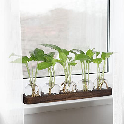 YIBOT Propagation Vases for Plants Terrarium with Wooden Tray,5 Glass Vases | Tabletop Plant Terrarium for Propagating Hydroponic, Retro Glass Planter Flower Vase Home Kitchen Office Decor Gifts - size: 5 Vase-T
